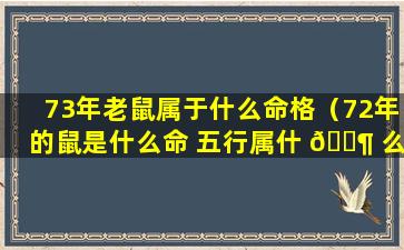 73年老鼠属于什么命格（72年的鼠是什么命 五行属什 🐶 么）